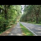 Heute fuhren wir meist über akzeptable Radwege